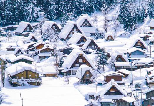Nagoya Private Charter 1-Day Tour [Shirakawa-go/Takayama/Kanazawa/Gero/Kamikochi/Inuyama Castle]