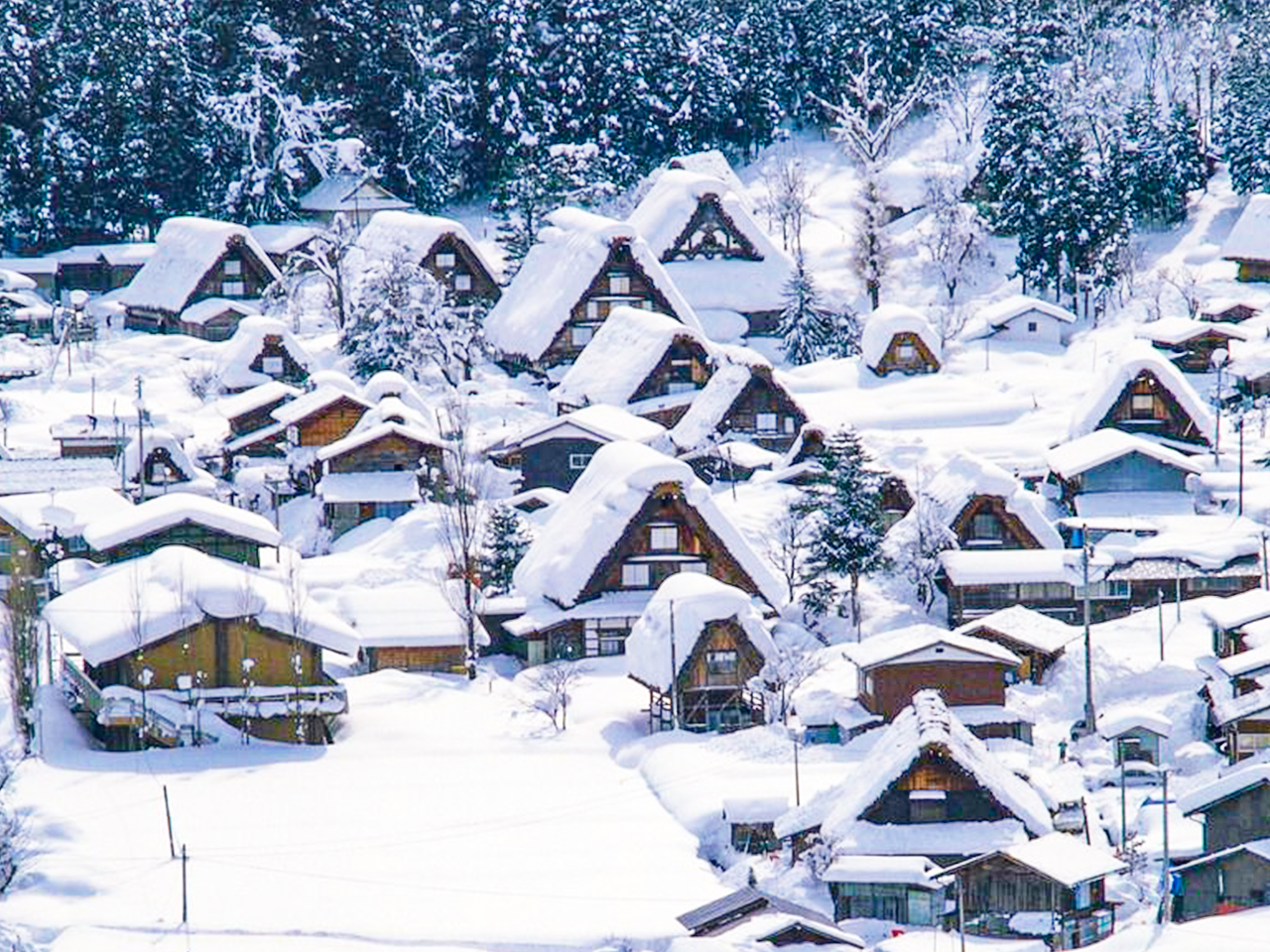 Nagoya Private Charter 1-Day Tour [Shirakawa-go/Takayama/Kanazawa/Gero/Kamikochi/Inuyama Castle]