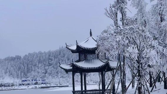【官方接駁車】漢水源森林公園丨來回車費丨一日遊|寧強南站起止
