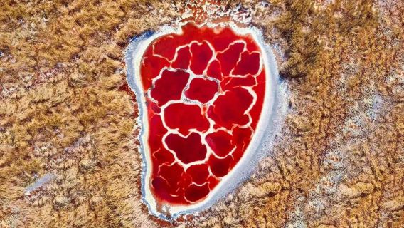 五湖穿越烏蘭湖+騰格裡沙漠龍眼翡翠湖一日遊【升級六湖車型可選+贈航拍】