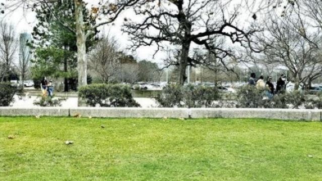 美國休斯頓自然科學博物館+赫曼公園一日遊/行程可調-隨性而行