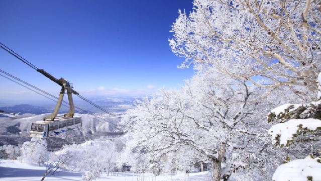 Однодневный автобусный тур на горнолыжный курорт Рюо в Японии (включая билет на канатную дорогу) с отправлением из Синдзюку туда и обратно