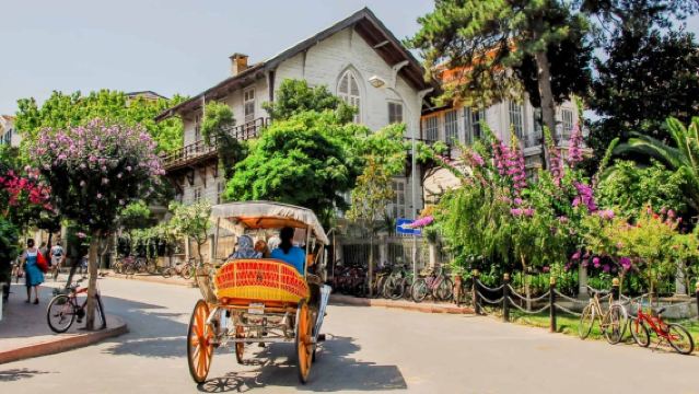 Dagcruise naar de Prinseneilanden vanuit Istanboel met bezoek aan Büyükada & Kınalıada