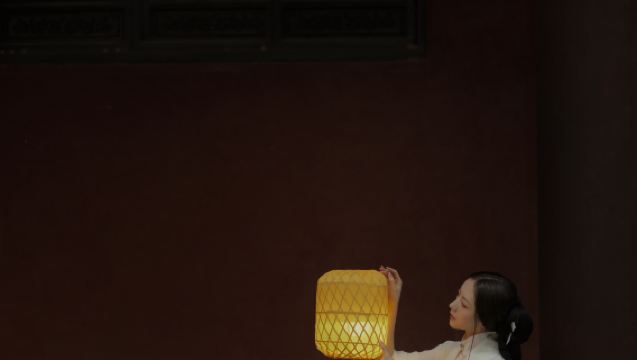 Lianhua trip moments[On-site photography services including newborn photos, family portraits, promotional videos, photos, short videos, portraits, wedding photos with all raw images provided]