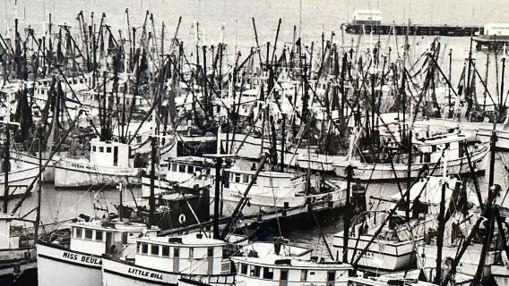 Tour de Exploración a Pie Guiado por Cayo Hueso