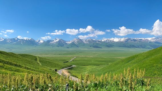 Perkhidmatan Jemputan Yining | Lawatan Sehari Sewa Peribadi ke Tarikan Pelancongan Nalati [5 dan 7 tempat duduk]