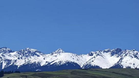 新疆烏魯木齊來回：江布拉克一日遊|一天看遍雪山、草原、花海