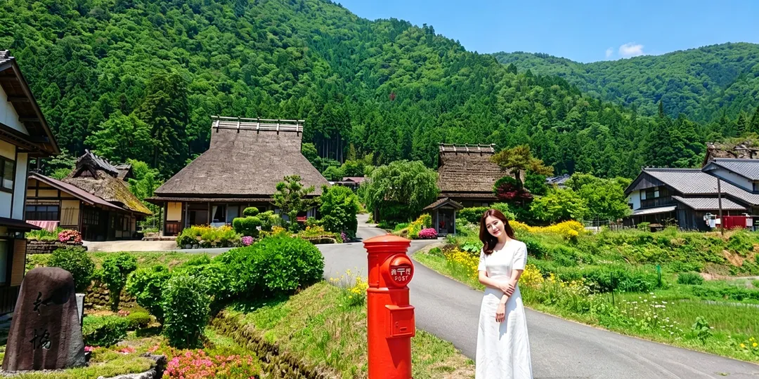 이네 후나야 투어 추천 7가지 비교, 교토 출발 하루 코스 총정리