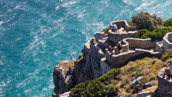Afrika Selatan Cape Town - Pulau Anjing Laut + Taman Botani + Kawasan Melayu - Lawatan Sehari Eksklusif (Tidak Termasuk Tiket)