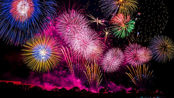 1-day tour to the Tsuchiura national fireworks competition in Japan (departing from Tokyo)