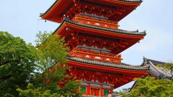 Lawatan Sehari Kyoto|Kuil Kiyomizu + Ninenzaka + Kuil Yasaka + Akuarium Kyoto (tidak termasuk tiket masuk)