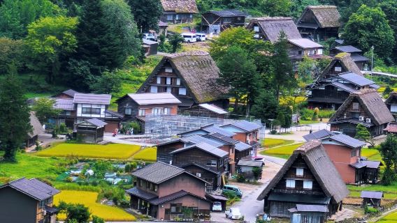 日本名古屋/下呂/金澤/白川鄉定制中文包車-導遊/地陪/翻譯