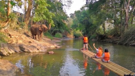 Excursion d'une journée : Sanctuaire d'éléphants + Cascade + Rafting en bambou