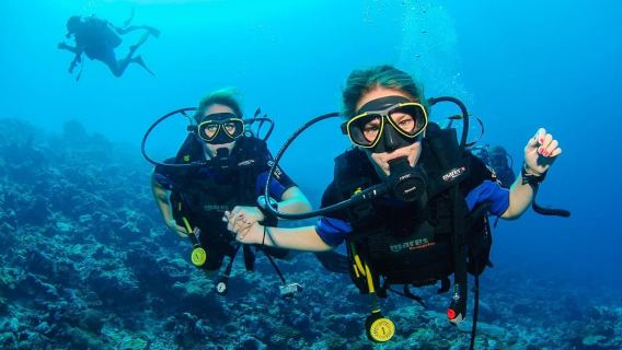 Marmaris: Scuba Diving, Incl. 2 Dive, Lunch w/Hotel Transfer