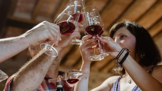 Montalcino: Vinsmagning og toskansk frokost