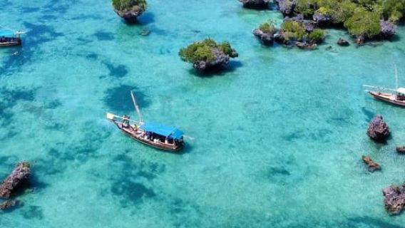 Safari Blue, полнодневная поездка на песчаную отмель с обедом из морепродуктов