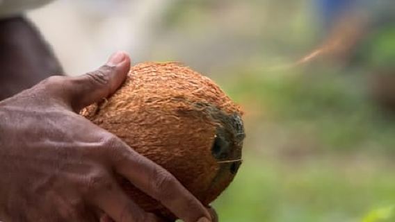 Authentic Sri Lankan cooking class