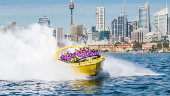 Expérience de bateau rapide à Sydney
