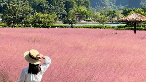 2–6 people small group | pink muhly grass Yingxi peak forest private charter one-day itinerary can be customized, excludes admission ticket