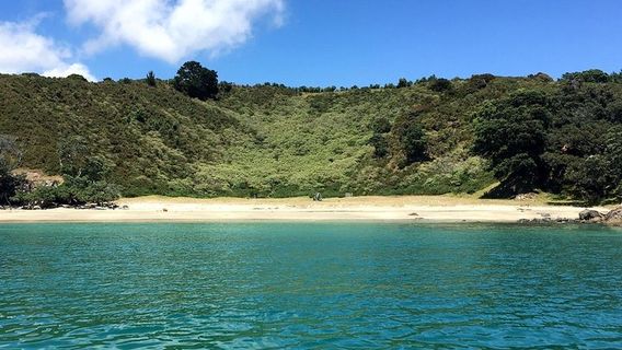 Waiheke Island