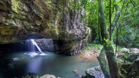 Springbrook