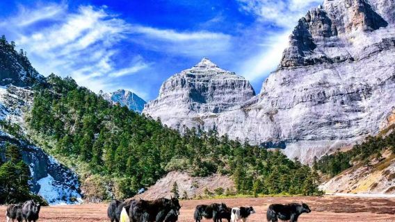 Excursión de un día a Shangri-La Balagezong, lugar pintoresco con servicio de bus lanzadera, experiencia sin compras y viaje sin preocupaciones