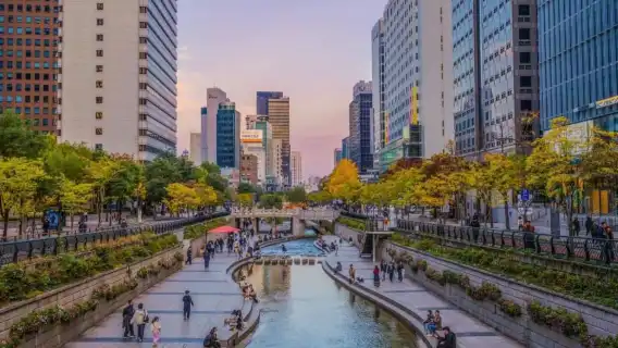 ทัวร์ชิมอาหารตลาดกวางจัง | สัมผัสประสบการณ์ตลาดดั้งเดิมของเกาหลี