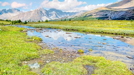 Lawatan sehari Calgary, Kanada: Tasik Louise + Tasik Moraine + Tasik Emerald, dua taman negara utama
