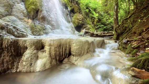 Chiang Mai Sticky Waterfall + Chiang Rai Blue Temple Half Day Tour [Optional Morning/Afternoon|Hotel pick-up