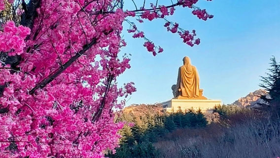 榮成旅行服務