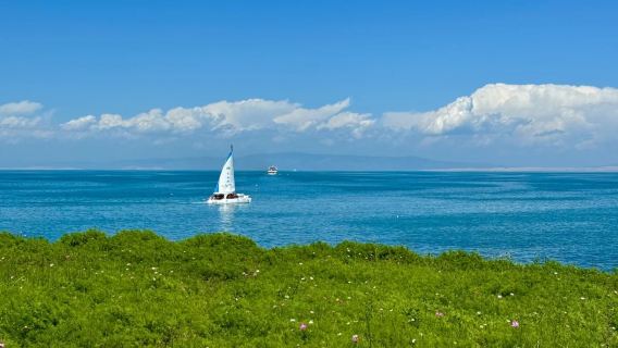 青海湖+拉脊山+日月山一日遊【包車團】