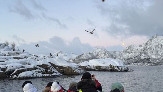 Svolvaer