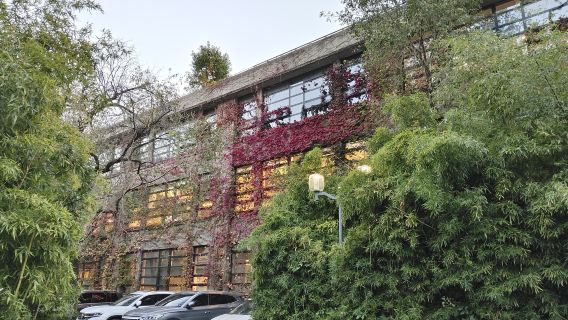 上海同濟大學（四平路校區）+1.5小時資深導遊講解探索之旅