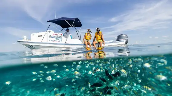 Snorkelling experience for non-swimmers in Cancun