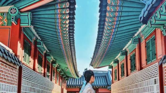 森林小火車+山君不離+涉地可支+濟州東門市場一日遊【親子包車遊】