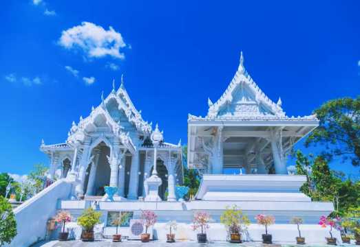 Private charter: Chiang Mai White Temple, Black House, and Blue Temple day tour|Entire trip without shared transfer|Includes admission ticket|Hotel...