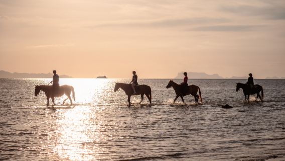 Paseo a caballo por la playa de Ko Samui con impresionantes vistas al atardecer
