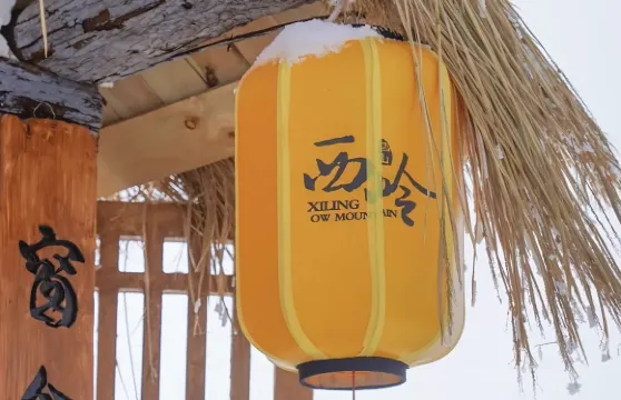 成都出發西嶺雪山1日遊（帶司機租車私人旅行）