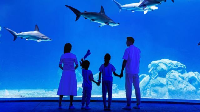 Chimelong Ocean Kingdom Pinguin/Raumschiff/Hengqin Bay/Yinghai Hotel Gourmet-Paket mit optionalem Frühstück und Abendessen