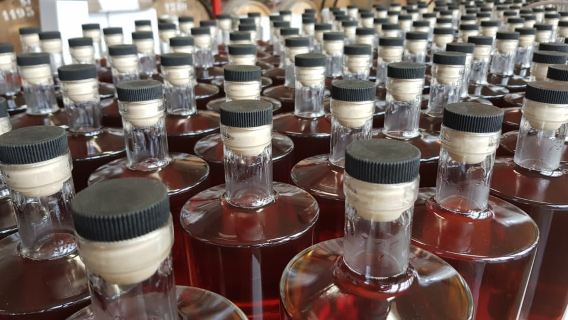 Eindhoven: Bottle Distillery Tour and Tasting Experience