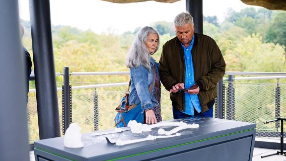 Mettmann: Neanderthal Museum Admission Ticket