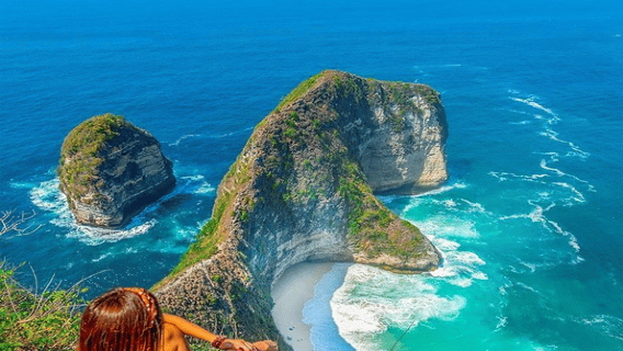 Bali/Nusa Penida: evidenzia il tour naturalistico e pranzo di un'intera giornata nell'ovest