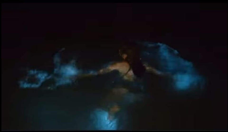 Experiencia en la Laguna Luminosa: Ocho Ríos, Runaway Bay y Falmouth