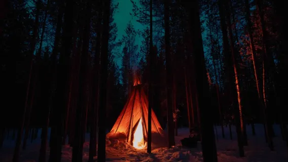 Lapland: Aurora Hunting by Minivan with Guide and Transport