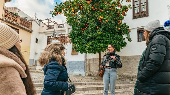 Гранада: Альбайсин и Сакромонте: пешеходная экскурсия на закате с гидом