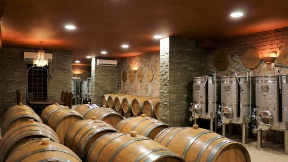 Lagoa: Visita guiada a una bodega y cata de vinos locales