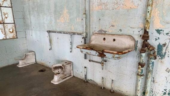 Alcatraz Island Tour from Busan (San Francisco + Cruise)