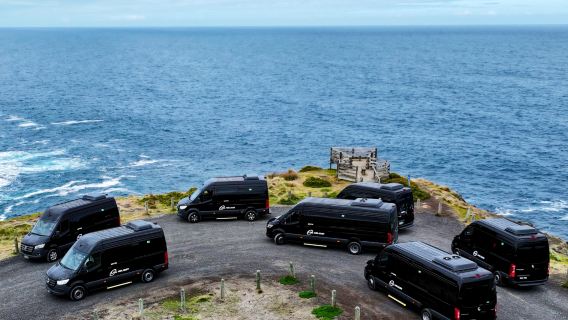 墨爾本大洋路+十二使徒岩一日遊奔馳小團【自營車隊/市區接送】