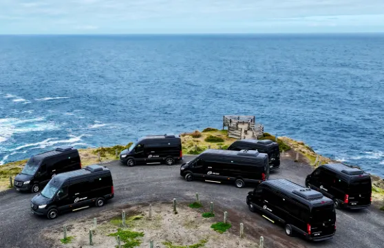 【當地車隊】墨爾本大洋路+十二門徒巖+倫敦橋一日豪華平治小團