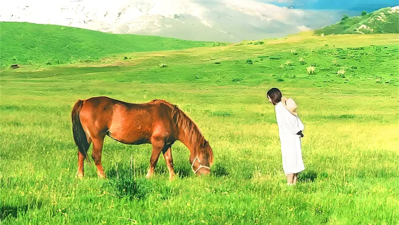 Kyushu, Japan: Must-try experiences – Mount Aso, Kusasenri, Kurokawa Onsen, and Aso shrine 1-day tour